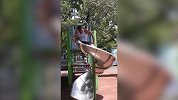 滑梯对于200斤的男孩来说 有点不太友好