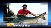旅游-中国夫妻泰国钓上湄公河巨鲶 世界最大的淡水鱼_clip