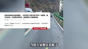自驾游游客停车围观猴群，一男子差点被猴子围着拽下裤子，拍摄者：跑着都没躲过