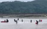 淡水鱼被台风冲进大海拼命跳出 村民不分昼夜狂拣