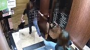 女子酒后踹电梯打骂工作人员 第二天醒酒后被行拘