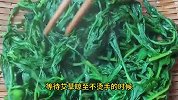 艾草配小米作用竟然这么厉害，知道的人太少了