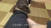 铲屎官让水獭闻自己脚，水獭的反应太逗了，差点笑喷了