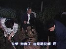 特案A组