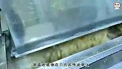 韩国的速冻饺子加工厂，来看看韩式饺子风靡全球背后的生产过程吧