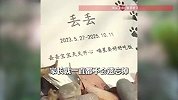 90后小伙在杭州建宠物陵园，3年收费近万元，提供管家式服务