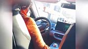 女子打特惠车被司机嘲讽一路，客服回应