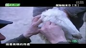揽胜天下2011年揽胜天下110303视频在线观看