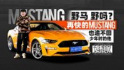 野马 野吗？再快的Mustang也追不回少年时的他！