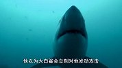 外国小伙潜海突遇大白鲨，而大白鲨的反应，却令人意外