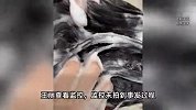 女子美发店洗头时遭猥亵，胸前测出店员生物信息，店方：赔2万元