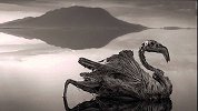 世界上杀伤力最大的湖泊：颜色呈血红色，生物进入就被石化！
