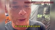 广东莫氏鸡煲引发全国吃鸡热潮，老板笑侃：有能力就学鸡排哥全国巡煲