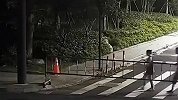 姑娘在回家路上 衣领里伸进一只“咸猪手”：摸一下就摸一下