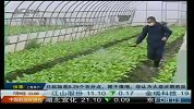 高毒农药停产倒计时 生物农药迎来新空间