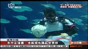 世界杯-14年-水中足球赛！水族馆也踢起世界杯-新闻