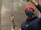 为纪念莫兰特当选ROY 孟菲斯动物园邀请其逛动物园