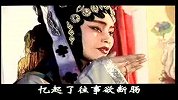 王荣华-庵堂认母-昼长夜长愁更长