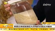 新西兰海域发现巨大深海虾长度达30厘米