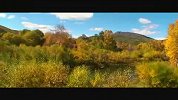 旅游-阿尔山好游景点：秋色绝美