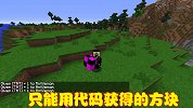 MC中方块多种多样，但是一些稀有方块，玩家只能通过代码获得