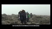 旅游-乞力马扎罗的岩羊1 (2)
