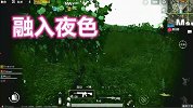 击杀指令312：日本妞说举报队友隐身挂，粉丝说完美融入夜色