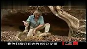 科学家与巨型蟒蛇搏斗