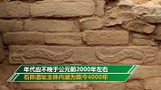 陕西石峁遗址皇城台 发现70余件公元前2000年石雕
