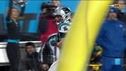 NFL-1516赛季-季后赛-分区决赛-黑豹21码断球回攻达阵 黑豹49:17红雀-花絮