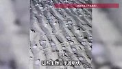 男子海滩上偶遇“奇怪生物”，半透明圆圈状像“水晶虾仁”