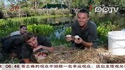 澳大利亚：动物园工作人员“偷”鳄鱼蛋
