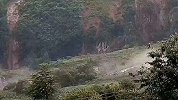 湖北恩施最新预警：清江上游形成堰塞湖 随时有溃坝下泄危险