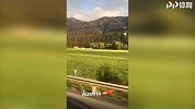巴西金童又去浪？ 奥地利田园风光让帕托沉醉