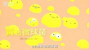 夏日防晒 你需要了解黄色微球菌