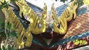 新奇！中国大陆建首座泰国金佛殿