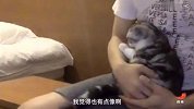 乒乓球-17年-陈玘视频曝光国乒不为人知黑幕 刘国梁身高竟没160？-专题