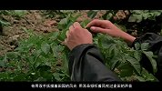 畅姐哔哔哔-第470期-《天堂的颜色》虽然他看不见，但他的世界色彩缤纷
