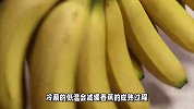 冷藏香蕉？你需要知道的这些小常识！