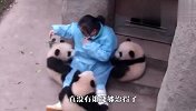 熊猫：别拉我，我要喝！饲养员：你已经喝过了！场面笑翻了