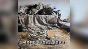 情侣租客撬锁强占房东房子1年多，房内垃圾成山，阳台挂满狗皮！