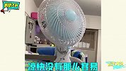 野生风扇图鉴，奇葩风扇还能这么玩？