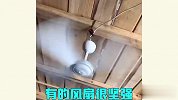 野生风扇图鉴，奇葩风扇还能这么玩？