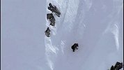 艰难的生存——北极地区的熊