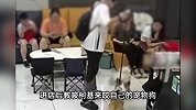 陌生男强拽柯基进店，教唆犬只撕咬他人宠物狗！被制止后嚣张掀桌
