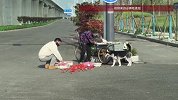 老奶奶驾驶三轮车意外侧翻，一只哈士奇突然跑上前帮忙，狗主人：还以为狗狗要添乱