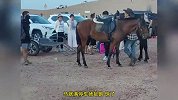 法斗犬景区内咬马致游客坠落，后被马一蹄子“踹废”，画面曝光