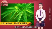 工业大麻火，爆可口可乐入局，股票粘“麻”就暴涨！