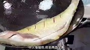 家常红烧鱼的做法，鱼肉鲜香无腥味，解馋又下饭