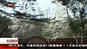 北京您早-20120413-潭拓寺玉兰节明日开幕